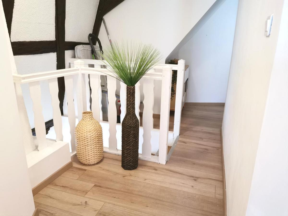 Petite Venise Grand Duplex Turenne Hyper Centre 콜마 외부 사진