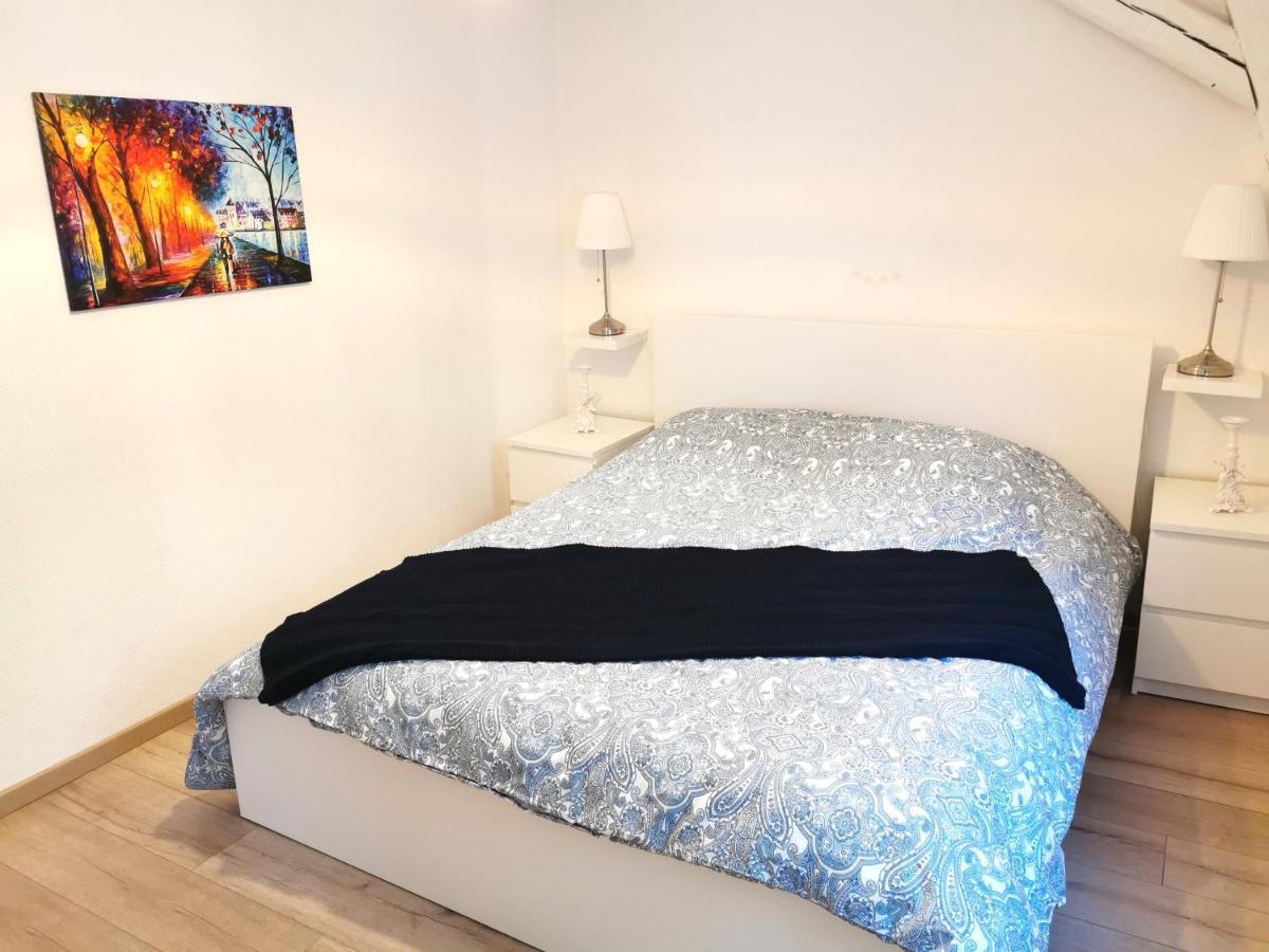 Petite Venise Grand Duplex Turenne Hyper Centre 콜마 외부 사진